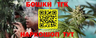 гашик Дубна