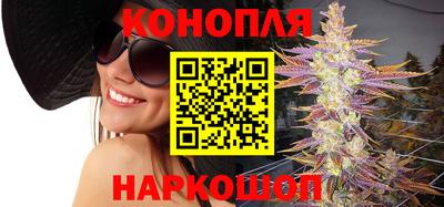 гашик Дубна