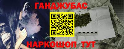 гашик Дубна