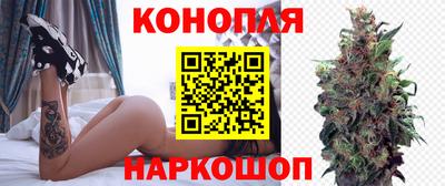 гашик Дубна
