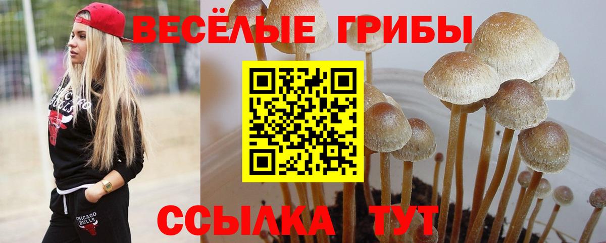 наркота  Вход с VPN  Мелеуз  Псилоцибиновые грибы GOLDEN TEACHER  Галлюциногенные грибы MAGIC MUSHROOMS 