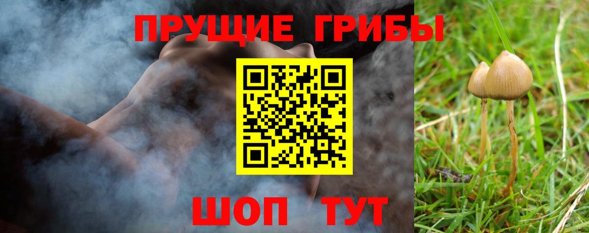 Псилоцибиновые грибы Psilocybine cubensis Мелеуз
